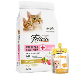 Felicia Hypoallergenic Mother Kitten Düşük Tahıllı Yavru Kuzu Etli Kedi Maması 12 Kg + Gimcat Kedi Pudingi 150 Gr - Felicia