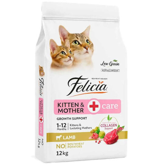 Felicia Hypoallergenic Mother Kitten Düşük Tahıllı Yavru Kuzu Etli Kedi Maması 12 Kg + Gimcat Kedi Pudingi 150 Gr - 2