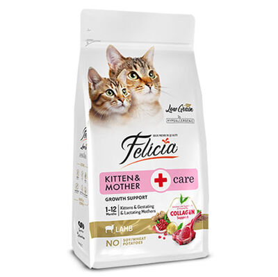 Felicia Hypoallergenic Mother Kitten Düşük Tahıllı Yavru Kuzu Etli Kedi Maması 12 Kg + Temizlik Mendili