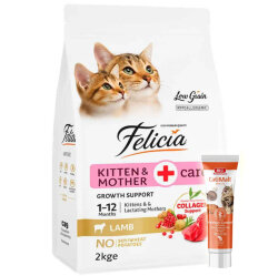 Felicia Hypoallergenic Mother Kitten Düşük Tahıllı Yavru Kuzu Etli Kedi Maması 2 Kg + Biopet Active Malt Paste 25 ML - Felicia