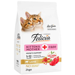 Felicia Hypoallergenic Mother Kitten Düşük Tahıllı Yavru Kuzu Etli Kedi Maması 2 Kg - Felicia