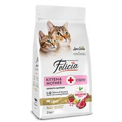 Felicia - Felicia Hypoallergenic Mother Kitten Düşük Tahıllı Yavru Kuzu Etli Kedi Maması 2 Kg + Temizlik Mendili