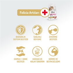 Felicia Hypoallergenic Mother Kitten Düşük Tahıllı Yavru Kuzu Etli Kedi Maması 2 Kg + Temizlik Mendili - Thumbnail