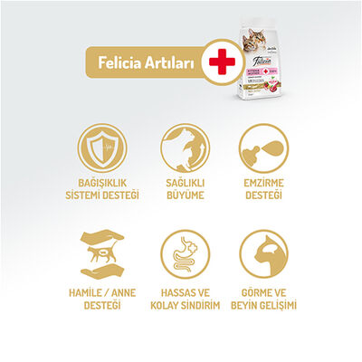 Felicia Hypoallergenic Mother Kitten Düşük Tahıllı Yavru Kuzu Etli Kedi Maması 2 Kg + Temizlik Mendili