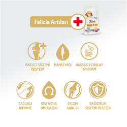 Felicia Hypoallergenic Puppy Düşük Tahıllı Kuzu Etli Yavru Köpek Maması 3 Kg + Temizlik Mendili - 2