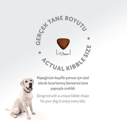 Felicia Hypoallergenic Puppy Düşük Tahıllı Kuzu Etli Yavru Köpek Maması 3 Kg + Temizlik Mendili - 7