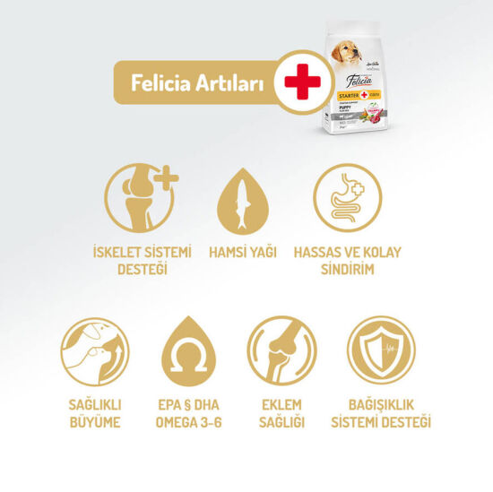 Felicia Hypoallergenic Puppy Düşük Tahıllı Kuzu Etli Yavru Köpek Maması 3 Kg + Temizlik Mendili - 3