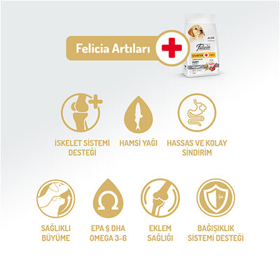 Felicia Hypoallergenic Puppy Düşük Tahıllı Kuzu Etli Yavru Köpek Maması 3 Kg + Temizlik Mendili