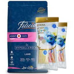 Felicia - Felicia Hypoallergenic Puppy Düşük Tahıllı Kuzu Etli Büyük Irk Yavru Köpek Maması 15 Kg + 6'lı Ranova Lolipop