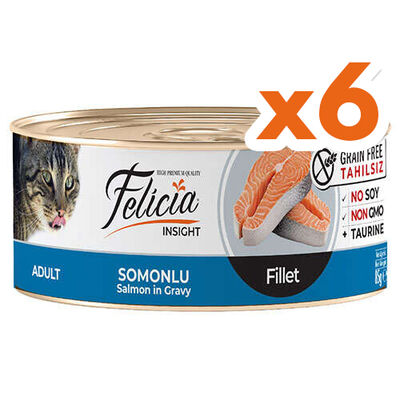Felicia Insight Somon Balıklı Fileto Tahılsız Kedi Konservesi 85 Gr x 6 Adet - 1