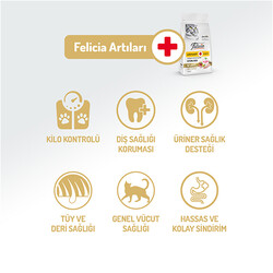 Felicia Hypoallergenic Sterilised Düşük Tahıllı Kısırlaştırılmış Tavuk Kedi Maması 2 Kg + Temizlik Mendili - Thumbnail