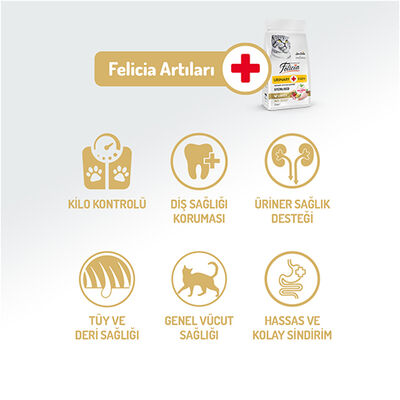 Felicia Hypoallergenic Sterilised Düşük Tahıllı Kısırlaştırılmış Tavuk Kedi Maması 2 Kg + Temizlik Mendili