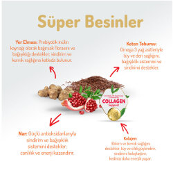 Felicia Hypoallergenic Urinary Sterilised Somonlu Kısırlaştırılmış Kedi Maması 2 Kg + Biopet Active Malt Paste 25 ML - 4