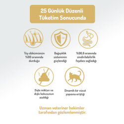 Felicia Hypoallergenic Urinary Sterilised Somonlu Kısırlaştırılmış Kedi Maması 2 Kg + Biopet Active Malt Paste 25 ML - 6