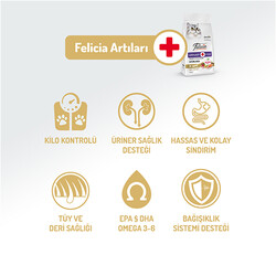 Felicia Hypoallergenic Urinary Sterilised Somonlu Kısırlaştırılmış Kedi Maması 2 Kg + Temizlik Mendili - Thumbnail
