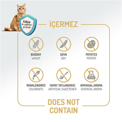 Felicia Hypoallergenic Urinary Sterilised Somonlu Kısırlaştırılmış Kedi Maması 2 Kg + Temizlik Mendili