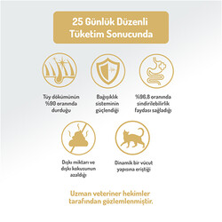Felicia Hypoallergenic Urinary Sterilised Somonlu Kısırlaştırılmış Kedi Maması 2 Kg + Temizlik Mendili - Thumbnail