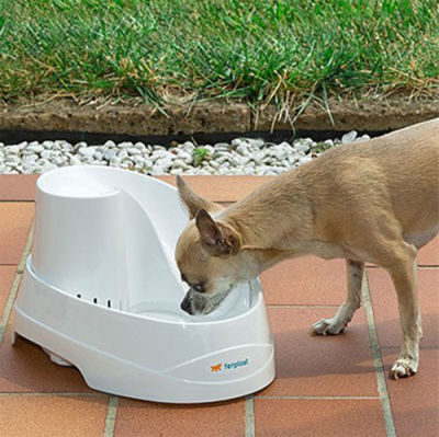 Ferplast Vega Şelale Kedi ve Köpek Otomatik Su Kabı 2 Lt