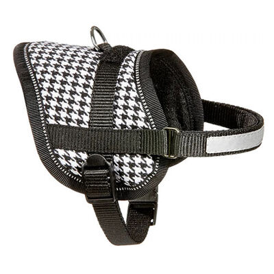 Flamingo Eeny Meeny Köpek Göğüs Tasması 26-35 Cm - Pepita