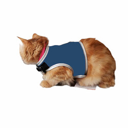 Flipper Fileli Kedi Göğüs Tasması + Uzatma Kayışı Seti Mavi - Thumbnail