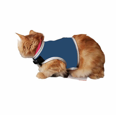 Flipper Fileli Kedi Göğüs Tasması + Uzatma Kayışı Seti Mavi