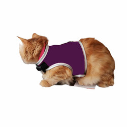 Flipper Fileli Kedi Göğüs Tasması + Uzatma Kayışı Seti Mor - Thumbnail