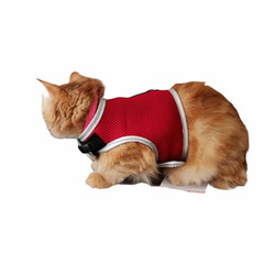 Flipper Fileli Kedi Göğüs Tasması + Uzatma Kayışı Seti Kırmızı - Thumbnail