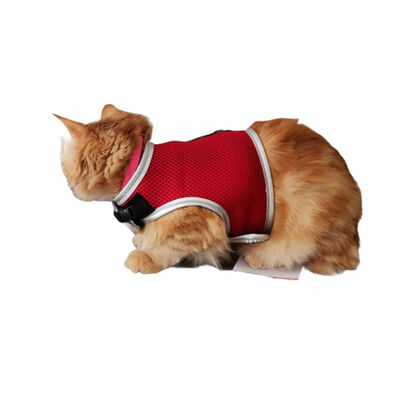Flipper Fileli Kedi Göğüs Tasması + Uzatma Kayışı Seti Kırmızı