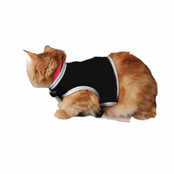 Flipper Fileli Kedi Göğüs Tasması + Uzatma Kayışı Seti Siyah - Thumbnail