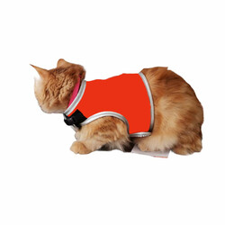 Flipper Fileli Kedi Göğüs Tasması + Uzatma Kayışı Seti Turuncu - Thumbnail