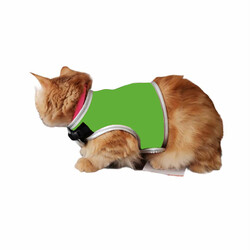 Flipper Fileli Kedi Göğüs Tasması + Uzatma Kayışı Seti Yeşil - Thumbnail