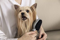 FURminator 691663 Dual Brush Çift Yüz Köpek Tarağı - Thumbnail