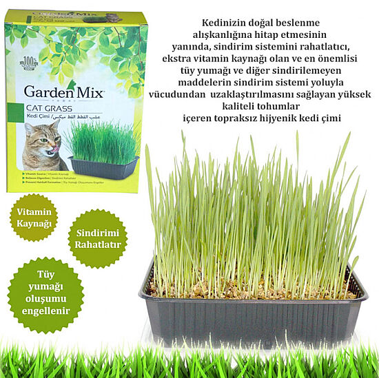 Garden Mix Sindirim ve Tüy Yumağı Destekleyen Kedi Çimi - 2