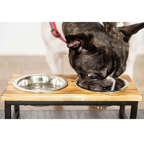 gf pet kedi ve kopek ahsap kapli ikili mama ve su kabi small kopek mama su kaplari kedi mama ve su kaplari gf pet