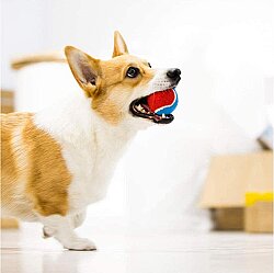 Gigwi 6118 Ball Tenis Topu Köpek Oyuncağı 3 lü Paket - 6 Cm - 3