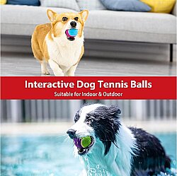 Gigwi 6118 Ball Tenis Topu Köpek Oyuncağı 3 lü Paket - 6 Cm - 10