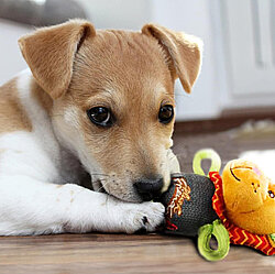 Gigwi 6147 Plush Friendz Sesli Aslan Peluş Köpek Oyuncağı - 6