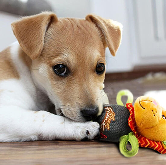 Gigwi 6147 Plush Friendz Sesli Aslan Peluş Köpek Oyuncağı - 6