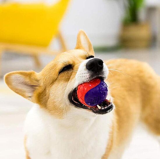 Gigwi 6193 Ball Sert Top Köpek Oyuncağı 5 Cm - 6