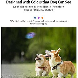 Gigwi 6195 Ball Sert Top Şeffaf Köpek Oyuncağı 7 Cm - 5