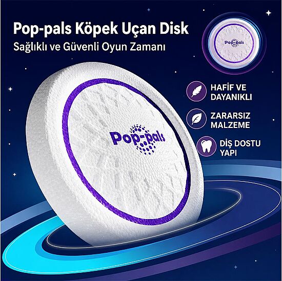 Gigwi 6952 Frizbi Köpek Oyuncağı (Uçuş Diski) Small - 3