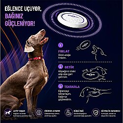 Gigwi 6952 Frizbi Köpek Oyuncağı (Uçuş Diski) Small - 4