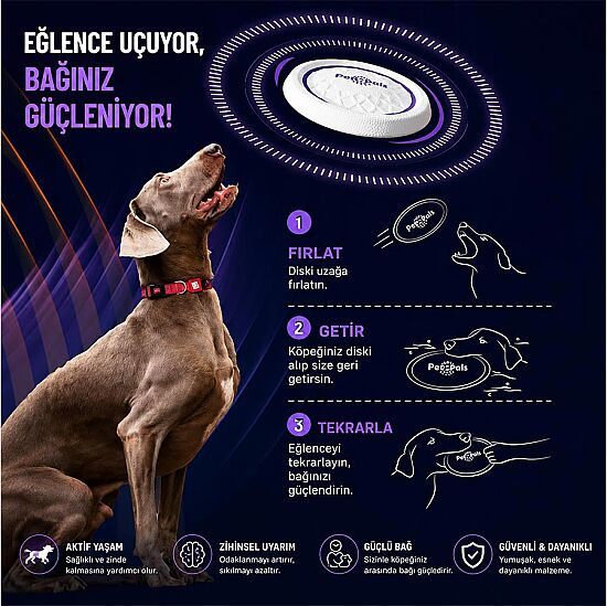 Gigwi 6952 Frizbi Köpek Oyuncağı (Uçuş Diski) Small - 4