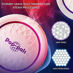 Gigwi 6952 Frizbi Köpek Oyuncağı (Uçuş Diski) Small - 6
