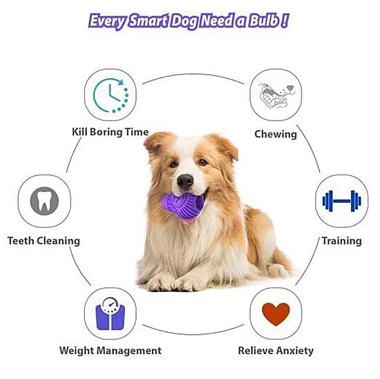Gigwi 8489 Ampul Şekilli Diş Kaşıma Ödül Hazneli Köpek Oyuncağı - 3