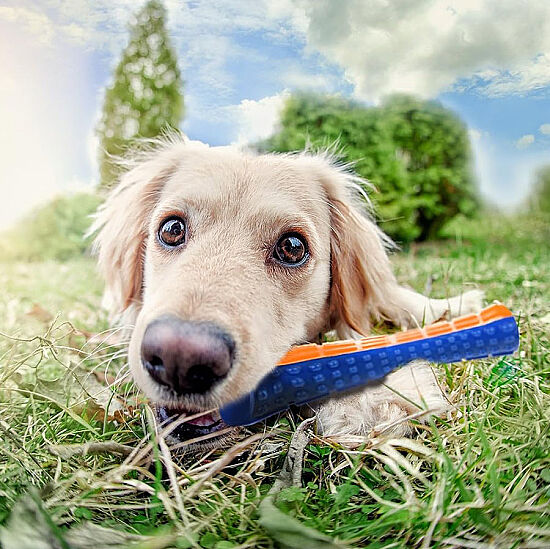 Gigwi 6190 Johnny Stick Sesli Kemik Köpek Oyuncağı 15 Cm - 6