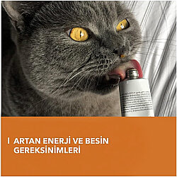 GimCat Energy Paste Kedi Macunu 50 Gr - 3