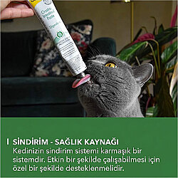 GimCat Gastro Intestinal Paste Sindirim Sağılığı Paste Macunu 50 Gr - 4