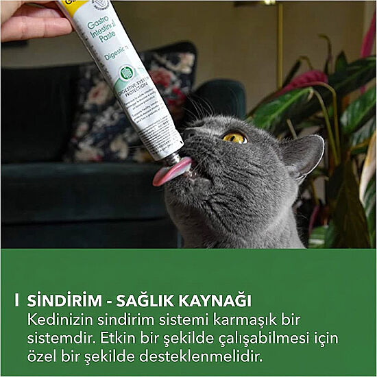 GimCat Gastro Intestinal Paste Sindirim Sağılığı Paste Macunu 50 Gr - 4