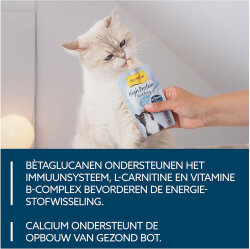 Gimcat High Protein (Yüksek Proteinli) Puding 100 Gr - 4